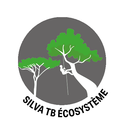 logo silva tb silvatb - elagage-chenille processionnaire